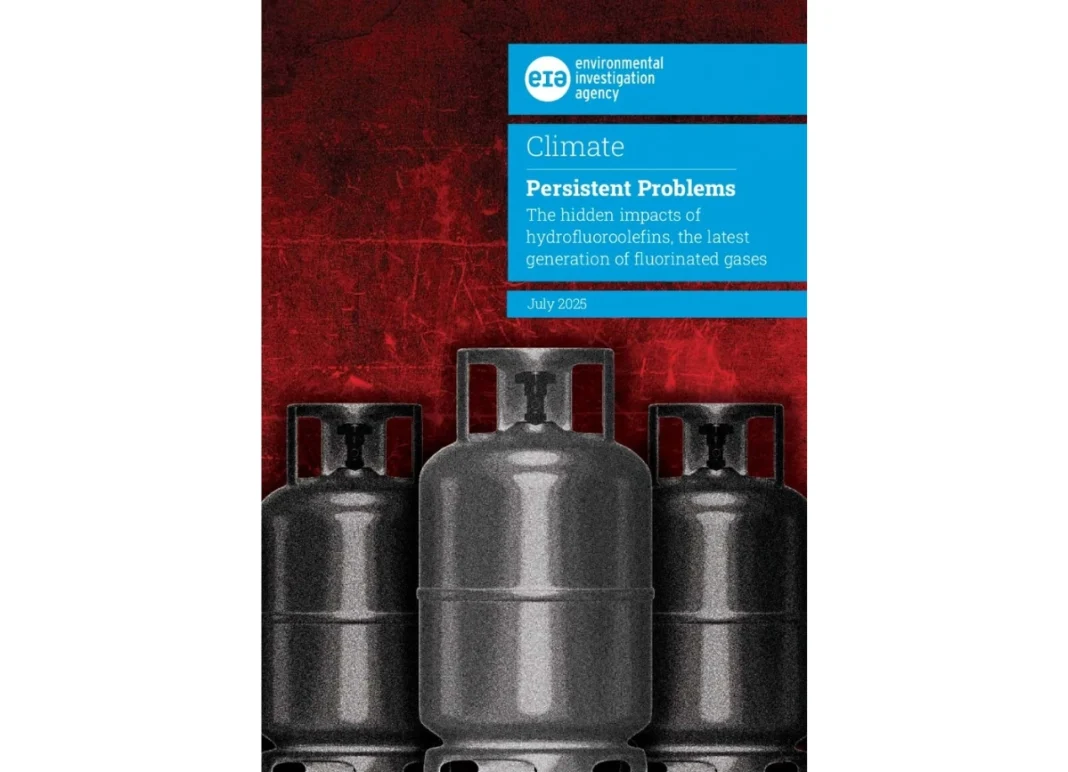 Report EIA Persistent Problems 2025