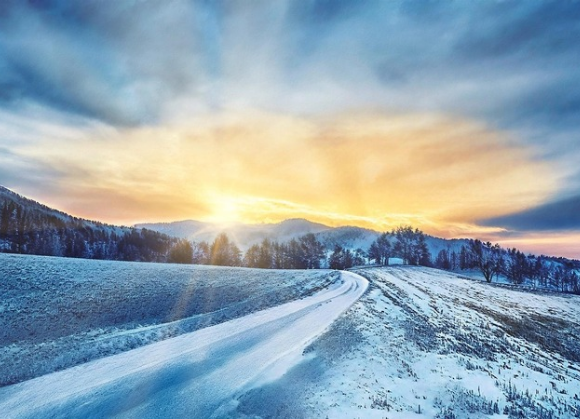 Freddo sotto assedio: la logistica della refrigerazione in tempo di guerra